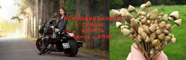 круглые Абдулино