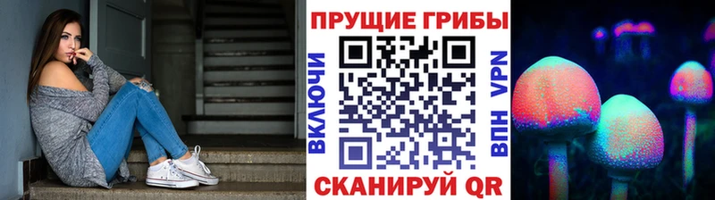 Псилоцибиновые грибы мицелий  KRAKEN ссылки  Ступино 